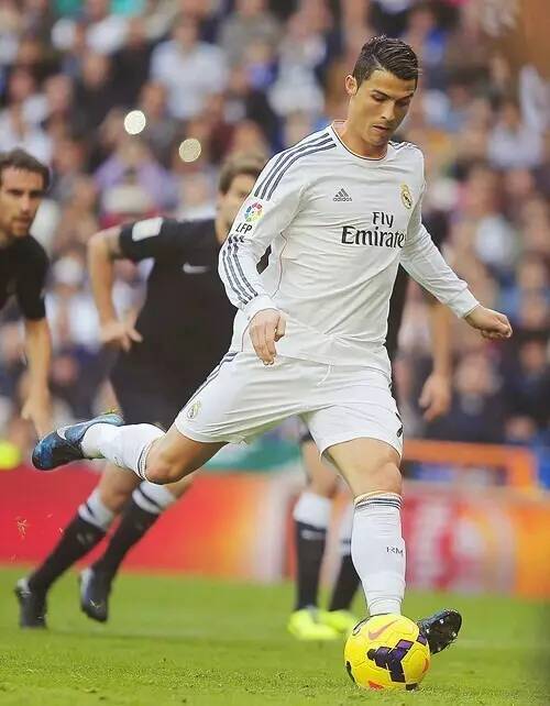 勒选择何种 勒选择何种