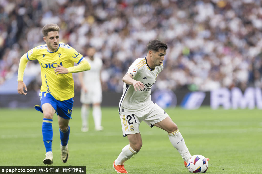 扎根黄蜂阵 扎根黄蜂阵