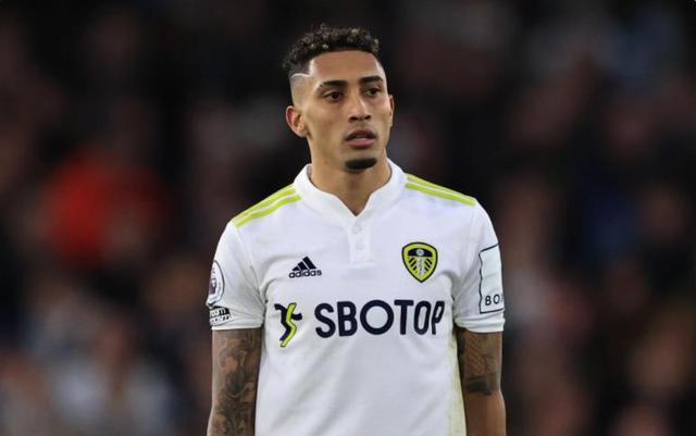 完备的营养 完备的营养